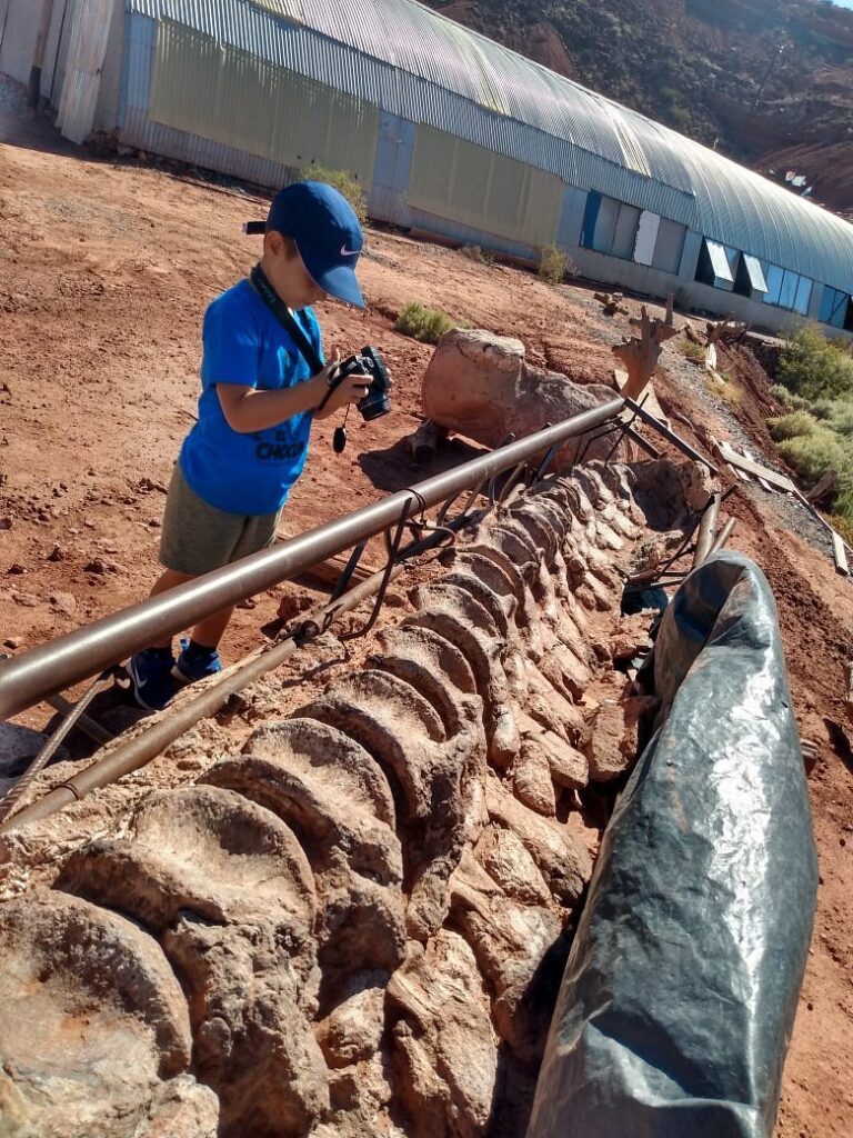 Nino_con_Vert Un niño sacando fotos de una columna de vertebra de un sauropodo grande