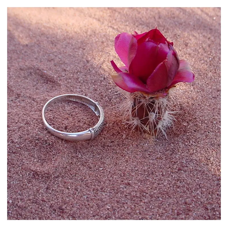 Pequeño flor de cactus con un anillo.
