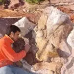 Jorge Calvo en el campo excavando huesos grande del primer dinosaurio encontrado en proyecto dino